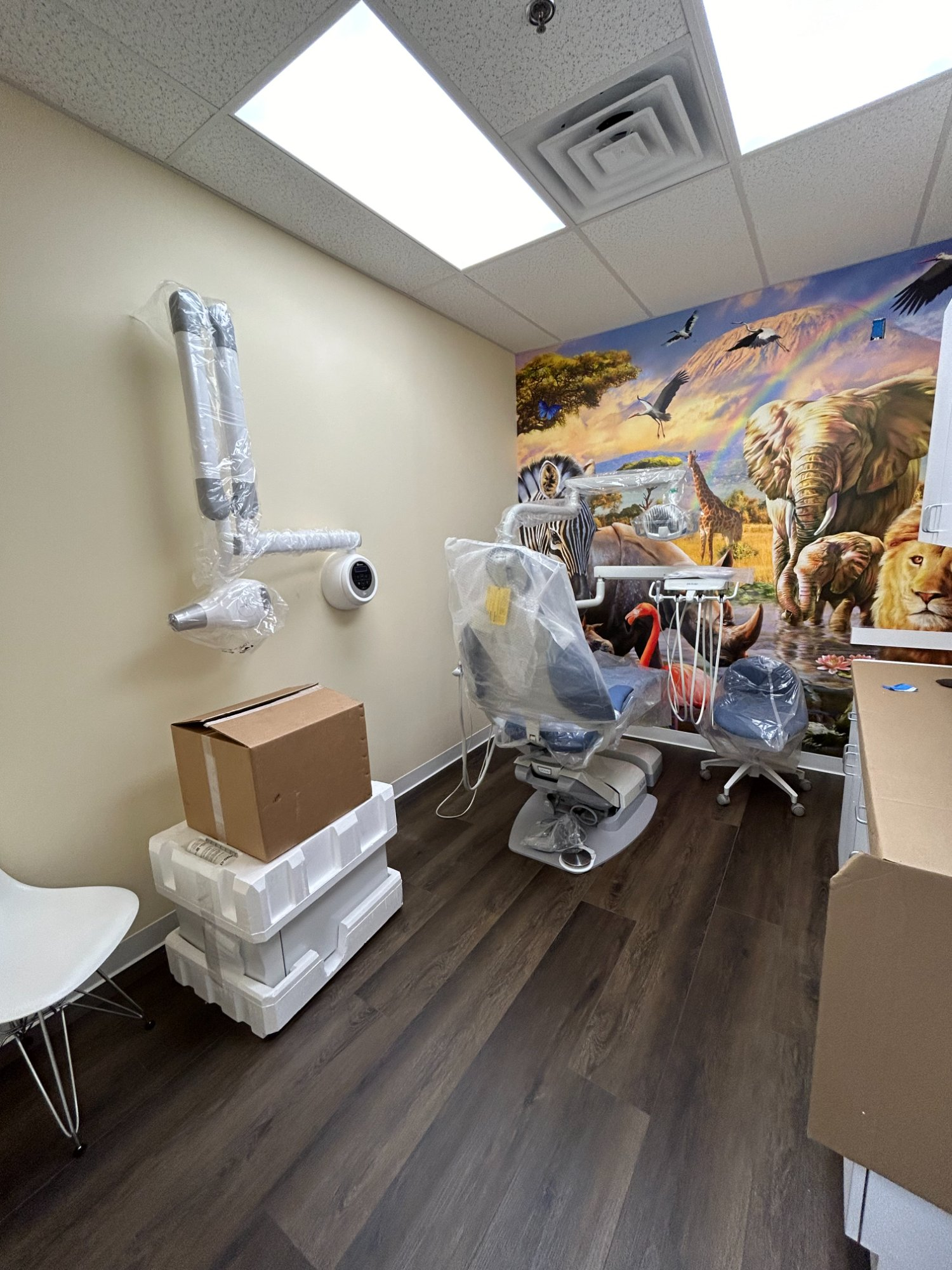 Dental chair and wall-mounted X-ray in pediatric operatory with safari wildlife mural